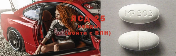 ГАЛЛЮЦИНОГЕННЫЕ ГРИБЫ Алексин